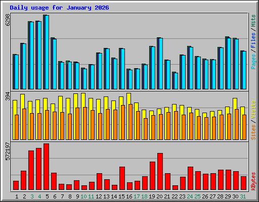 Daily usage for January 2026