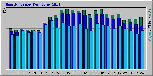 Hourly usage for June 2013
