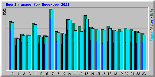 Hourly usage for November 2021