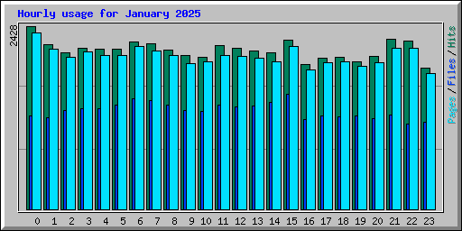 Hourly usage for January 2025