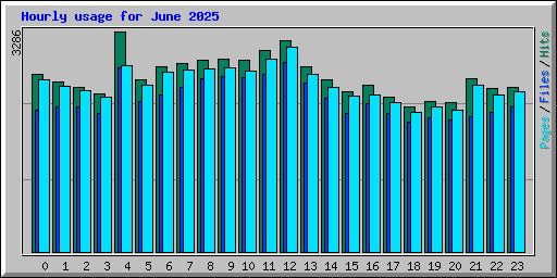 Hourly usage for June 2025