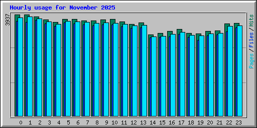 Hourly usage for November 2025