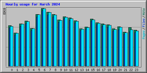 Hourly usage for March 2024
