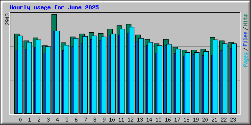 Hourly usage for June 2025