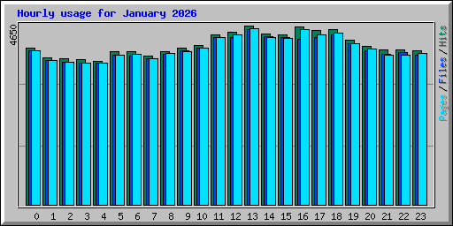 Hourly usage for January 2026