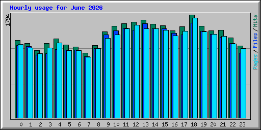 Hourly usage for June 2026