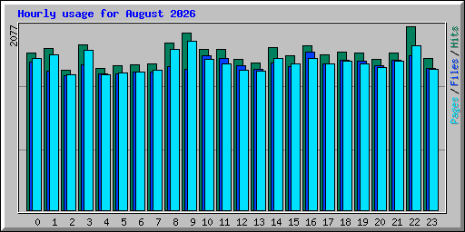 Hourly usage for August 2026